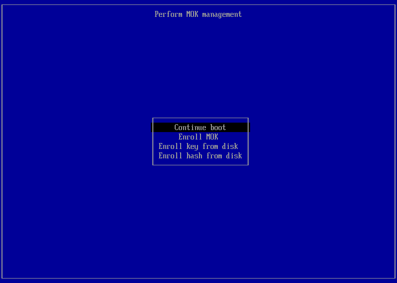 Menu Secure Boot : Continue boot / Enroll MOK / Enroll key from disk / Enroll hash from disk